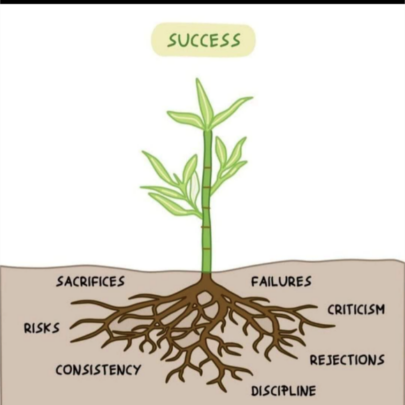 A drawing of a small plant. Above ground, by the shoot, is the word success. Below ground, by the roots, are the words: sacrifices, risks, consistency, failures, criticism, rejections and discipline.